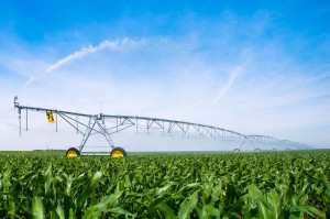 Irrigazione mais con pivot ad energia solare